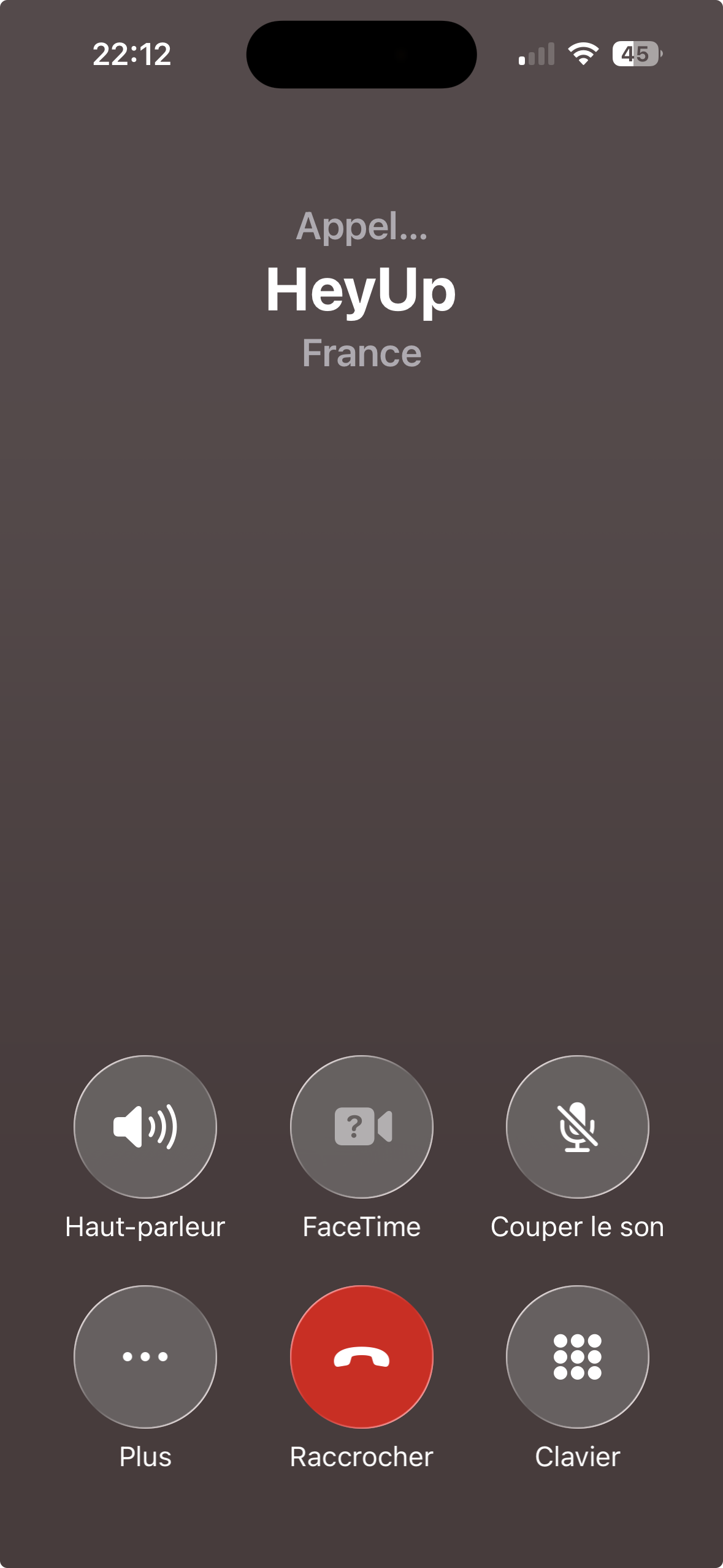 iOS phone call interface with AI